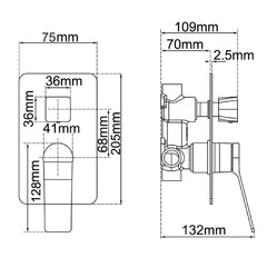 RUSHY Square Brushed Nickel Wall Mixer With Diverter